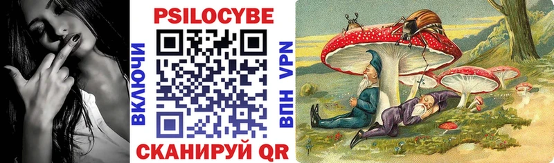 площадка как зайти  Пущино  Псилоцибиновые грибы мухоморы 